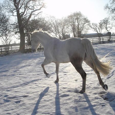 The Jockey Room Hideaway Spurstow Luaran gambar