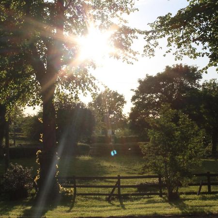 The Jockey Room Hideaway Spurstow Luaran gambar