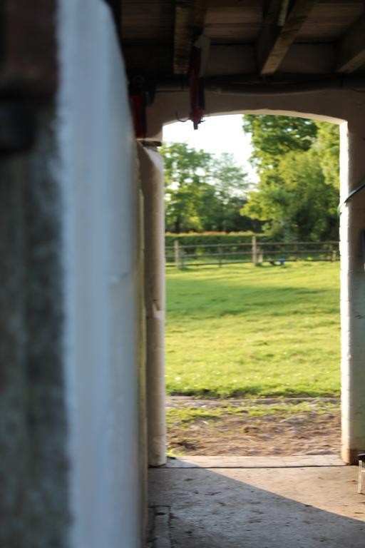 The Jockey Room Hideaway Spurstow Luaran gambar