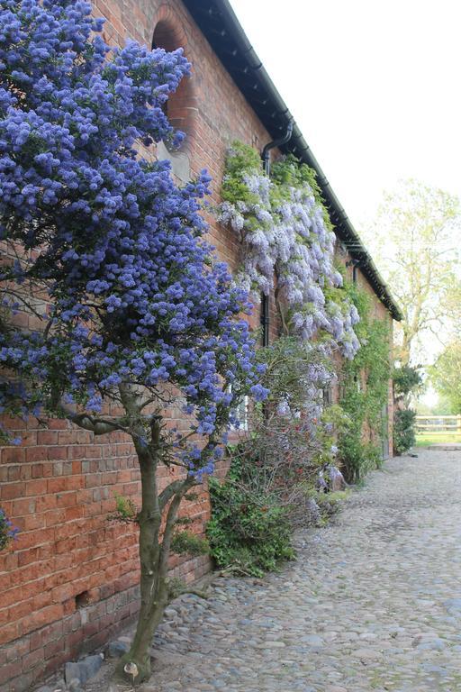 The Jockey Room Hideaway Spurstow Luaran gambar