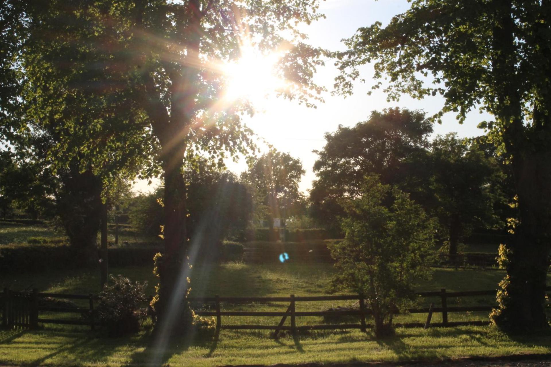 The Jockey Room Hideaway Spurstow Luaran gambar
