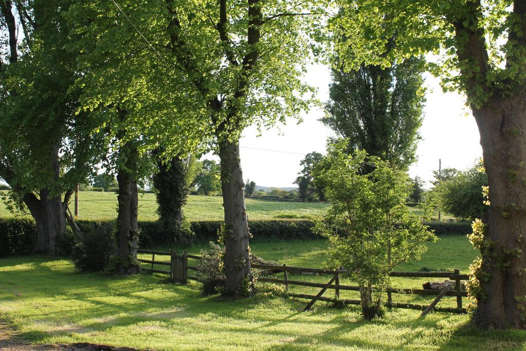 The Jockey Room Hideaway Spurstow Luaran gambar