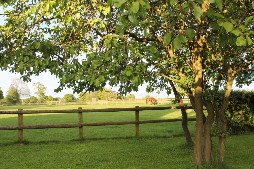 The Jockey Room Hideaway Spurstow Luaran gambar